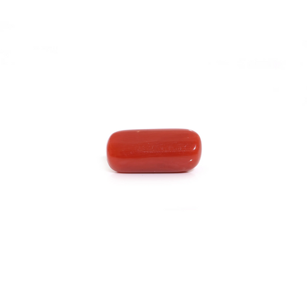 Red Coral - 5.55 Carat