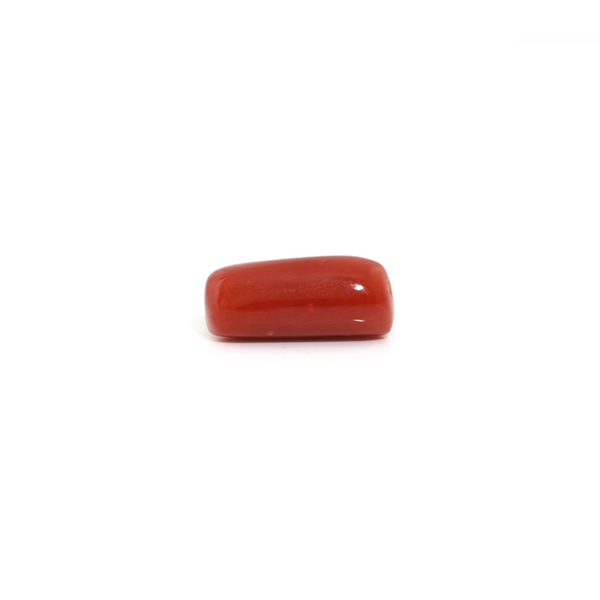 Red Coral - 5.55 Carat