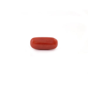 Red Coral - 5.1 Carat - Pramogh