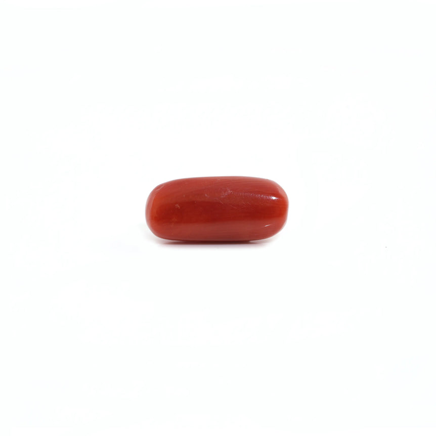 Red Coral - 5.1 Carat - Pramogh