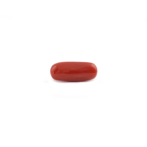 Red Coral - 5.55 Carat - Pramogh