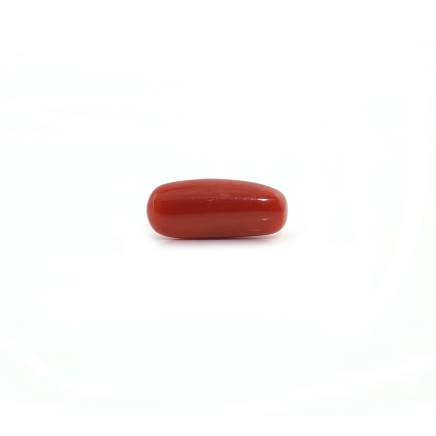 Red Coral - 5.55 Carat - Pramogh