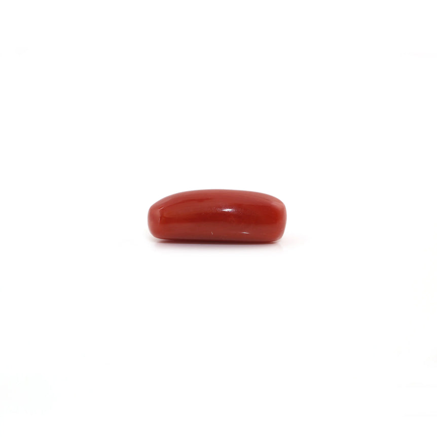 Red Coral - 5.55 Carat - Pramogh