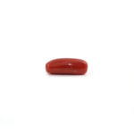 Red Coral - 5.55 Carat - Pramogh