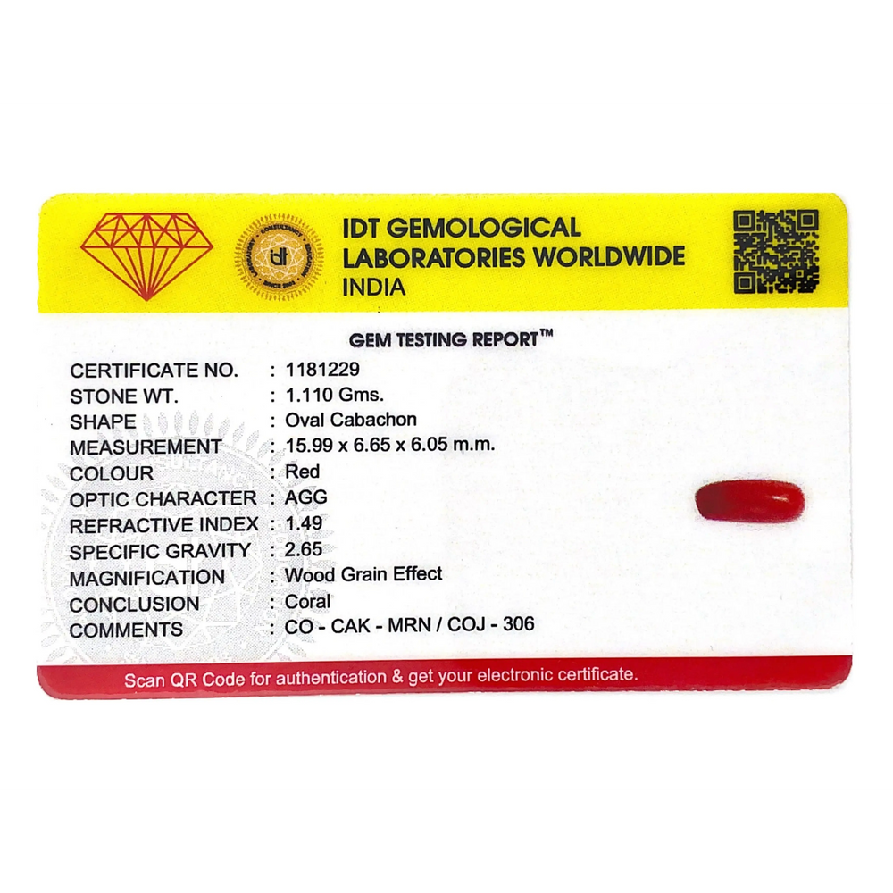 Red Coral - 5.55 Carat - Pramogh