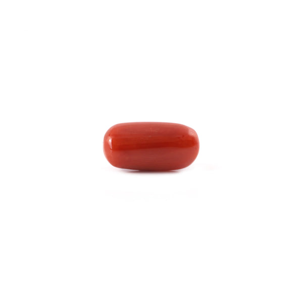 Red Coral - 5.8 Carat - Pramogh