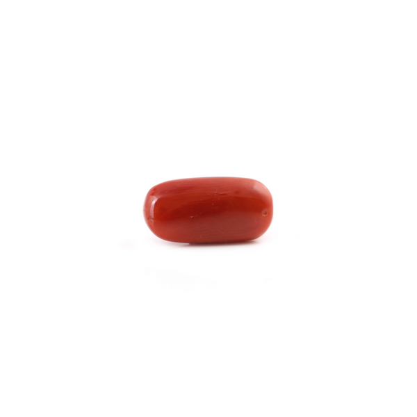 Red Coral - 5.8 Carat