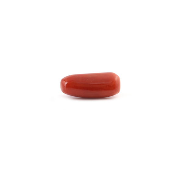 Red Coral - 5.8 Carat