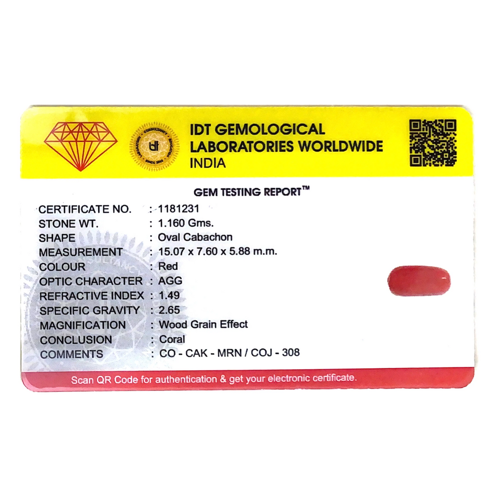 Red Coral - 5.8 Carat - Pramogh