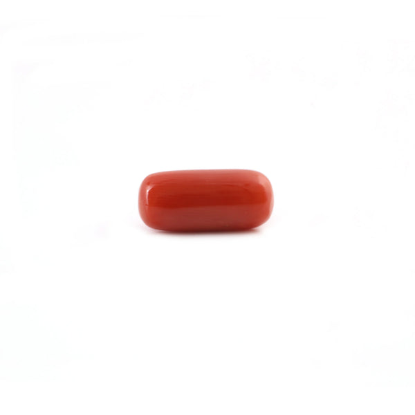 Red Coral - 5.25 Carat - Pramogh