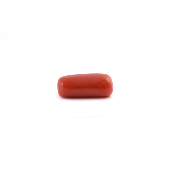 Red Coral - 5.25 Carat