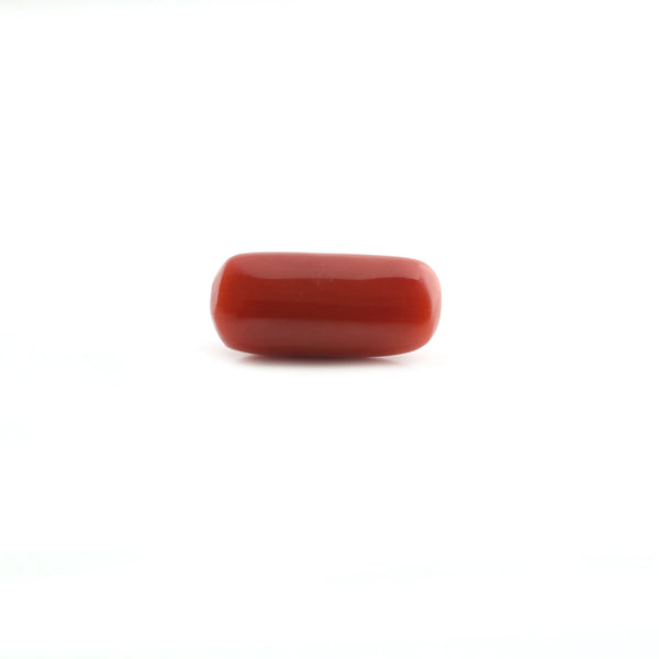 Red Coral - 5.6 Carat