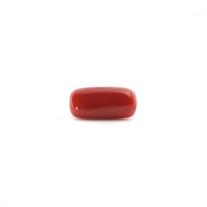 Red Coral - 5.4 Carat - Pramogh