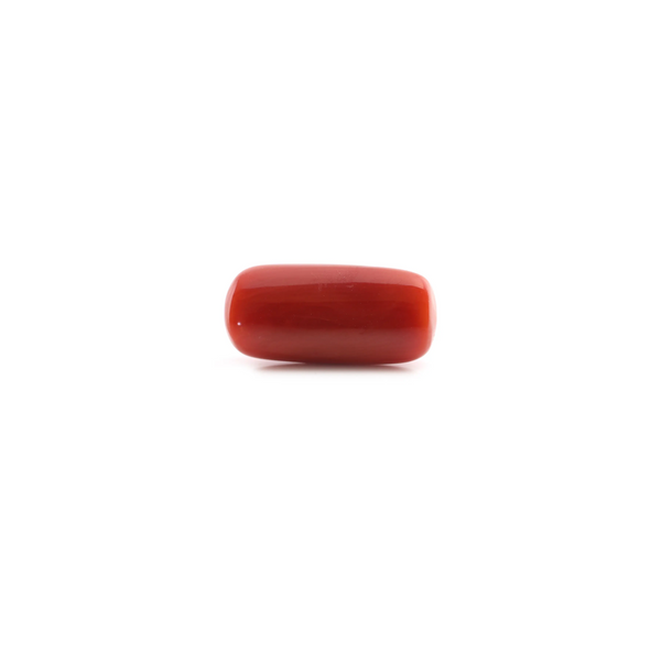 Red Coral - 5.4 Carat