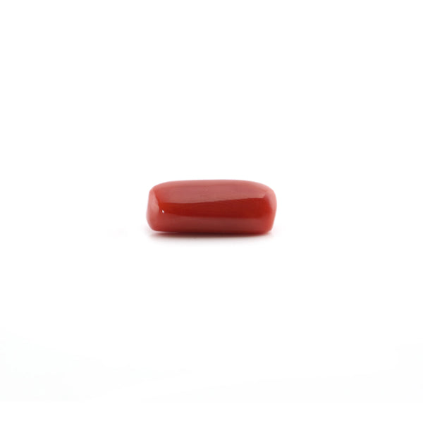 Red Coral - 5.4 Carat