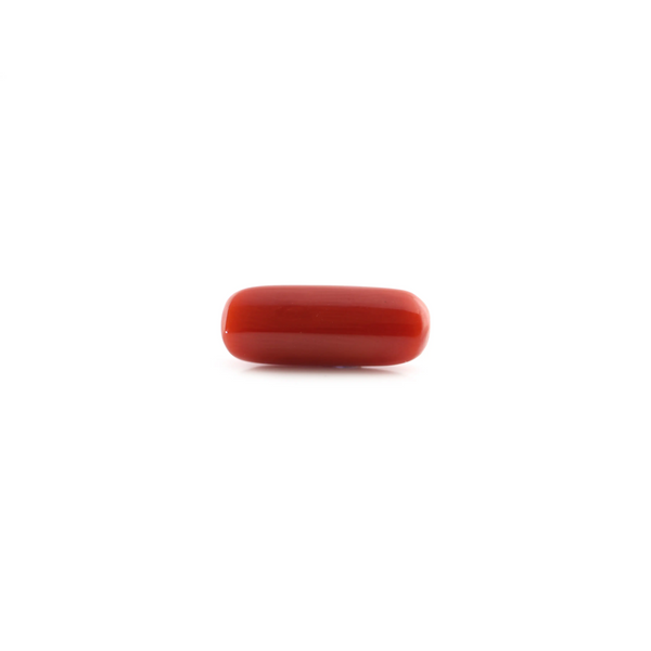 Red Coral - 5.2 Carat