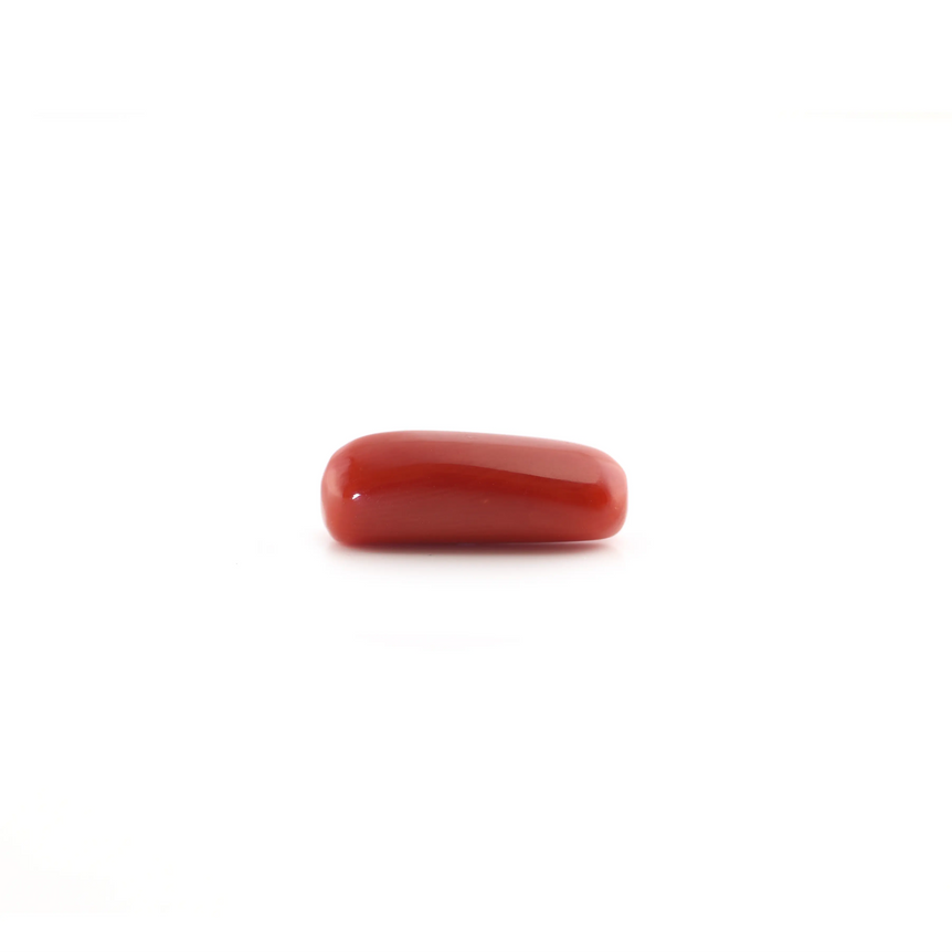 Red Coral - 5.2 Carat - Pramogh