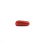 Red Coral - 5.2 Carat - Pramogh