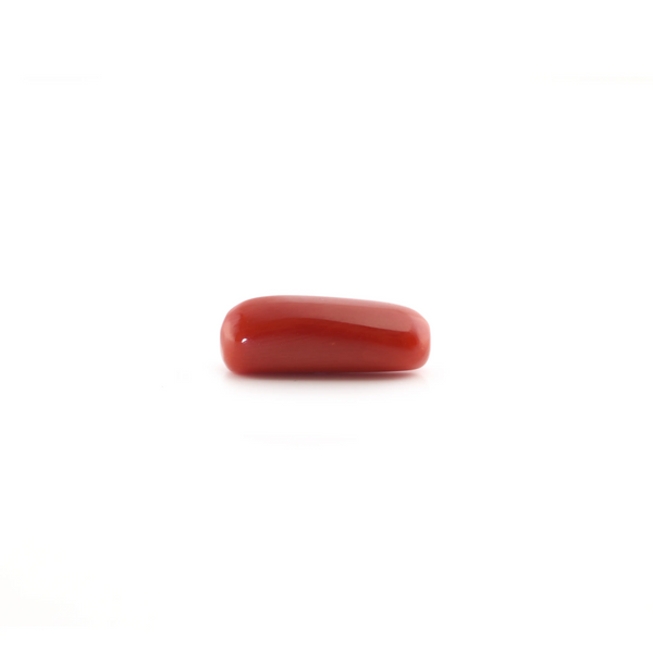 Red Coral - 5.2 Carat