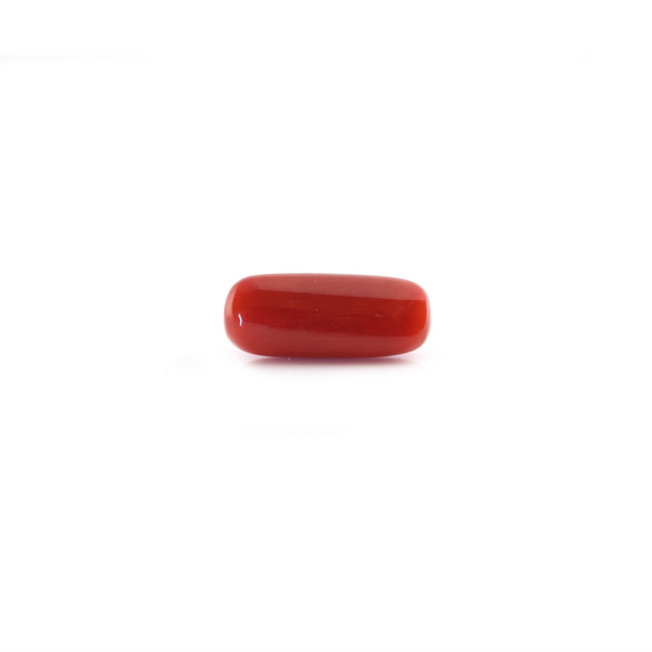 Red Coral - 5.4 Carat