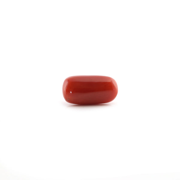 Red Coral - 5.5 Carat - Pramogh