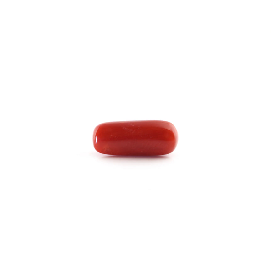 Red Coral - 5.7 Carat - Pramogh