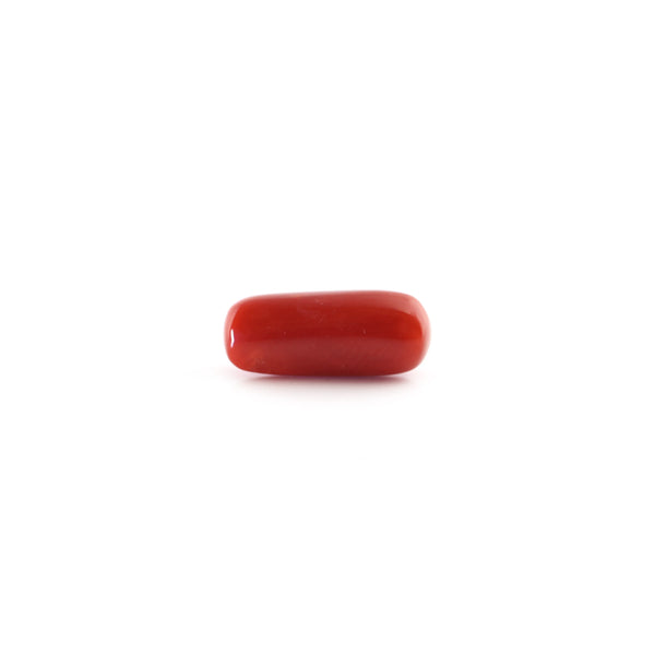 Red Coral - 5.7 Carat