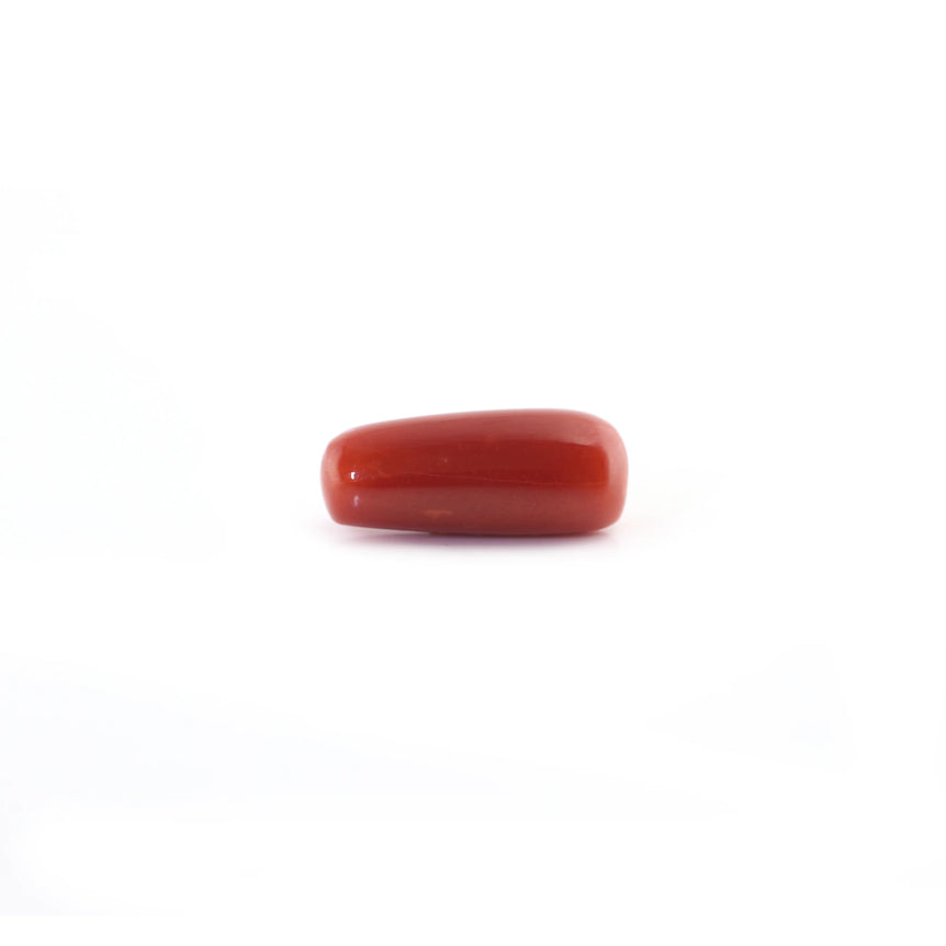 Red Coral - 5.7 Carat - Pramogh
