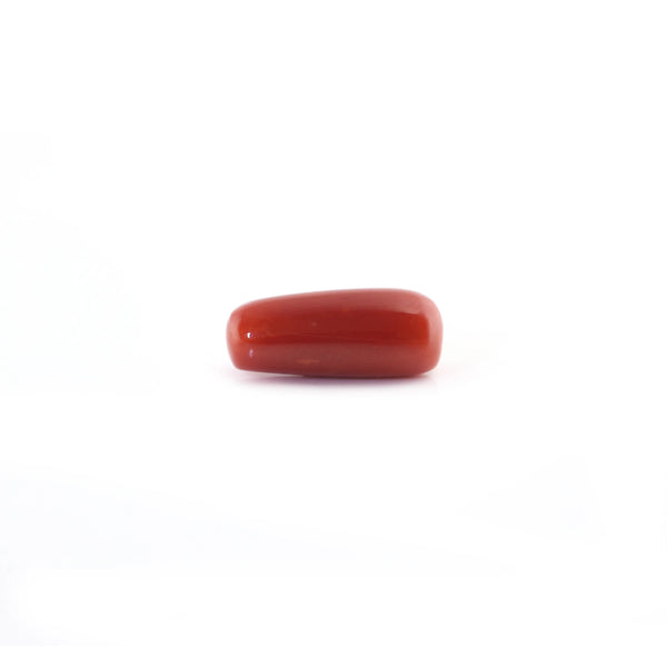 Red Coral - 5.7 Carat