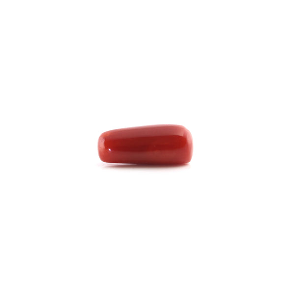 Red Coral - 5.1 Carat