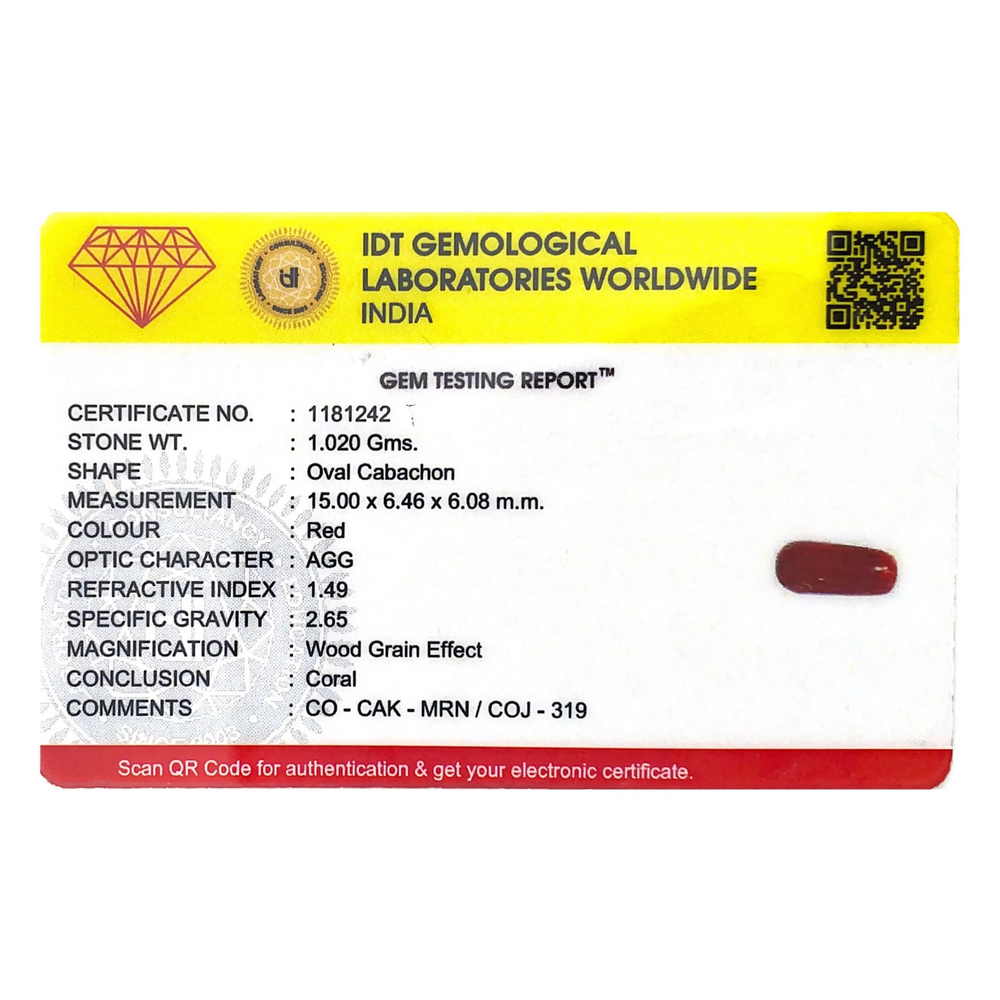 Red Coral - 5.1 Carat - Pramogh