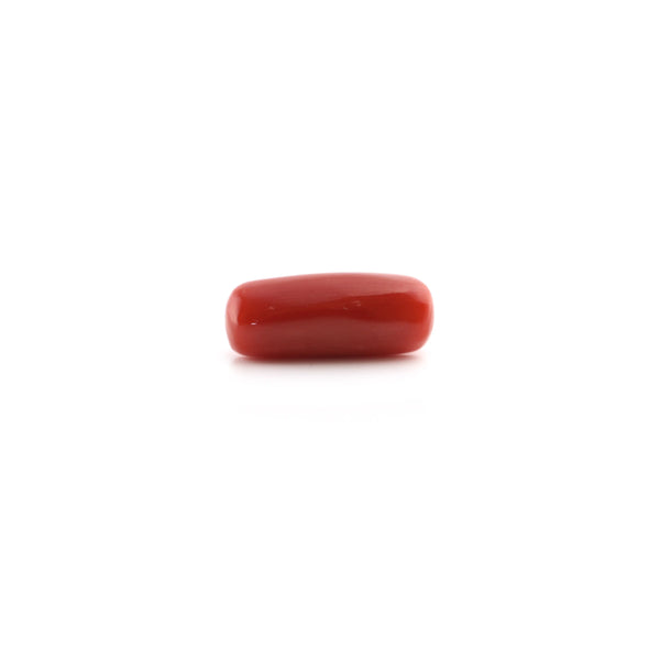 Red Coral - 5.25 Carat - Pramogh