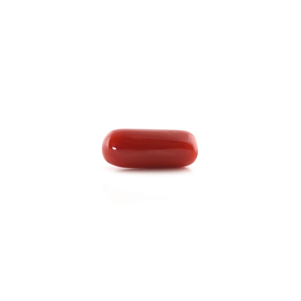 Red Coral - 5.4 Carat - Pramogh