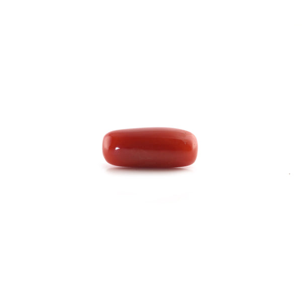 Red Coral - 5.65 Carat - Pramogh