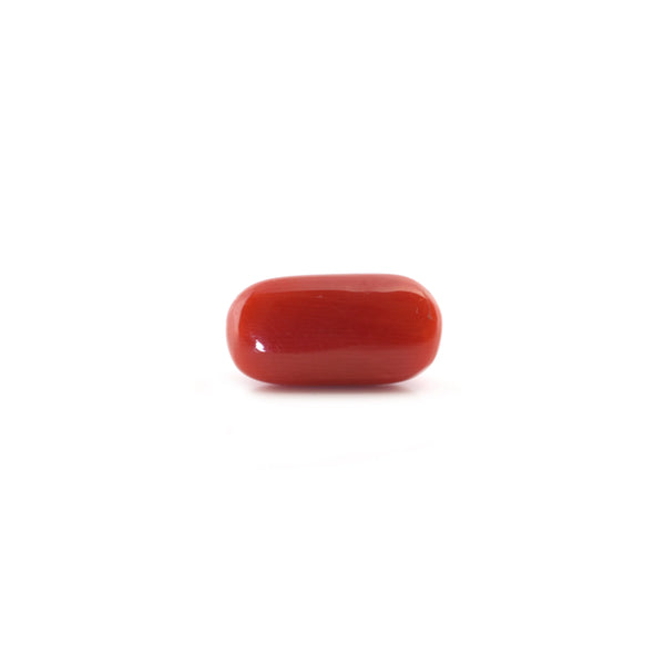 Red Coral - 5.8 Carat