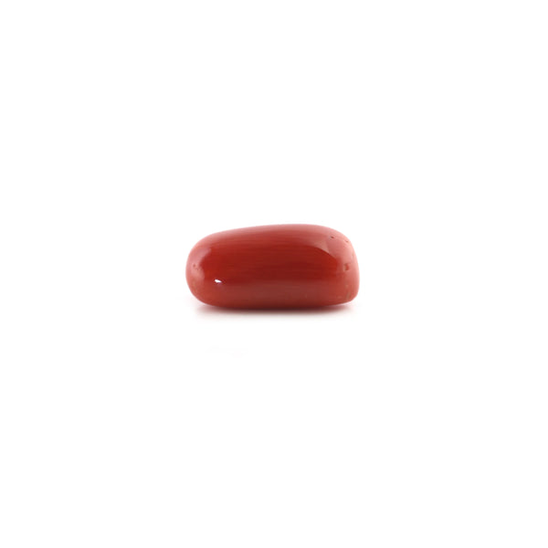 Red Coral - 5.8 Carat