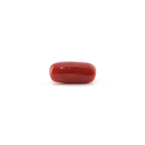 Red Coral - 5.8 Carat - Pramogh