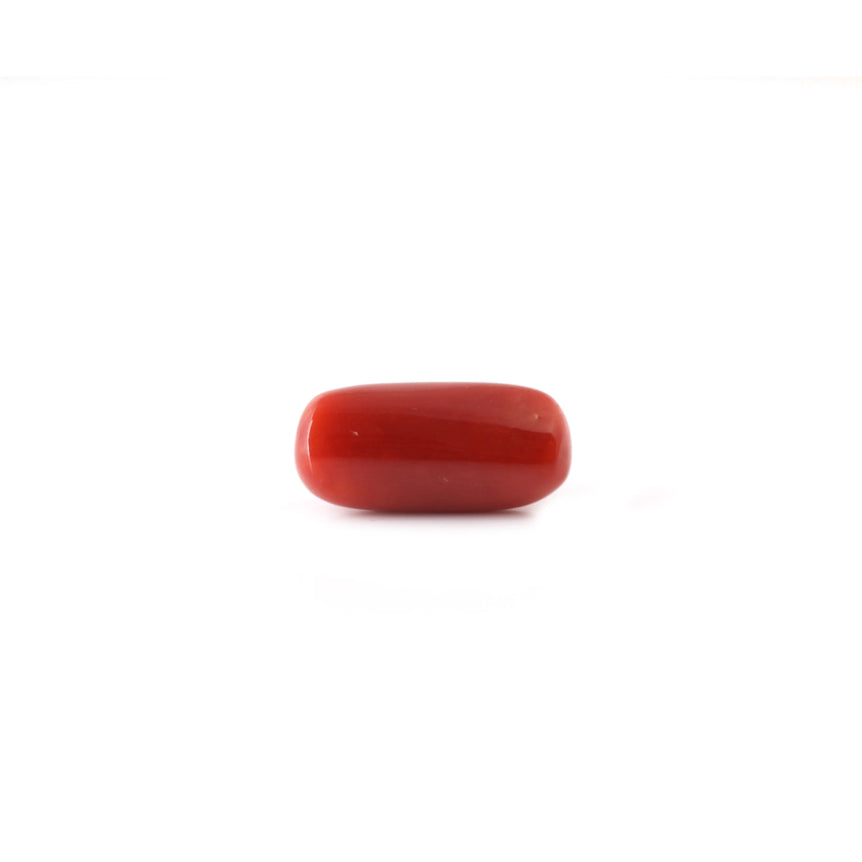 Red Coral - 5.8 Carat - Pramogh