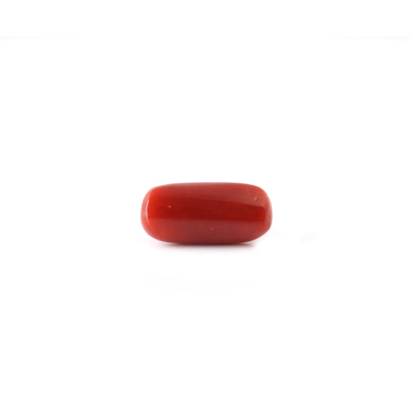 Red Coral - 5.8 Carat