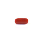 Red Coral - 6.8 Carat - Pramogh