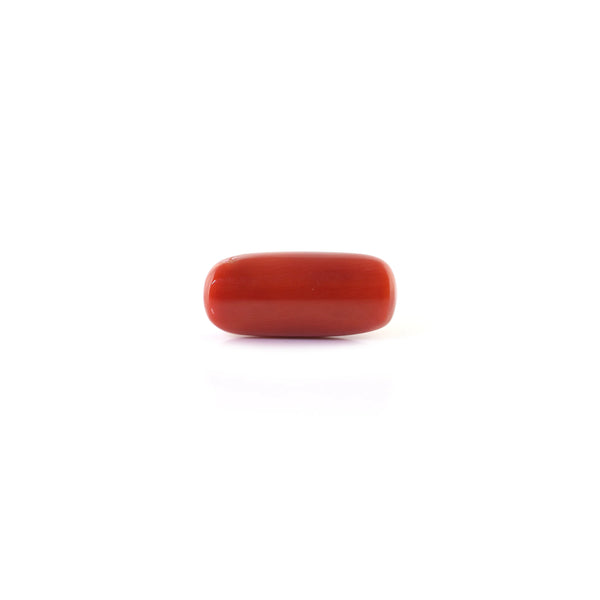 Red Coral - 6.8 Carat - Pramogh