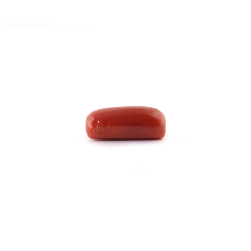 Red Coral - 6.8 Carat - Pramogh