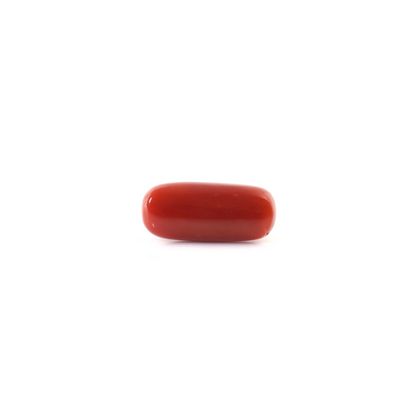 Red Coral - 6.15 Carat