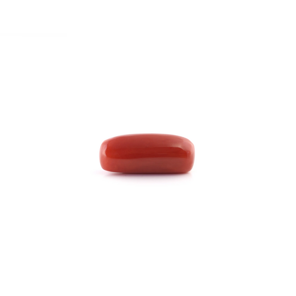 Red Coral - 6.15 Carat