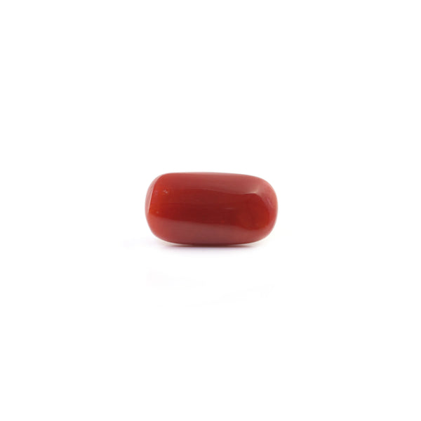 Red Coral - 6.55 Carat