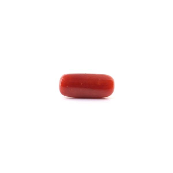 Red Coral - 6.45 Carat