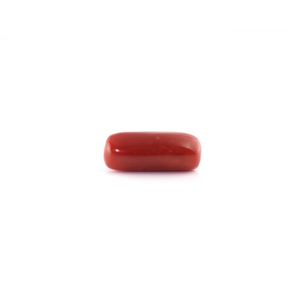 Red Coral - 6.45 Carat