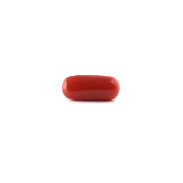 Red Coral - 6.6 Carat - Pramogh