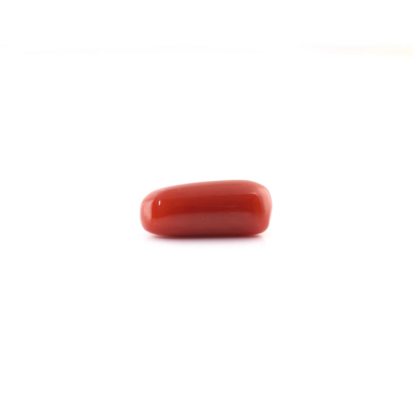 Red Coral - 6.6 Carat