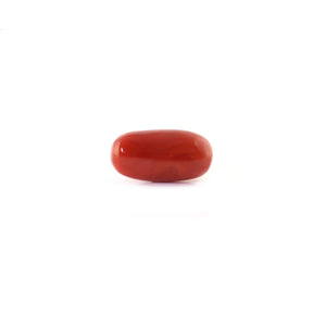 Red Coral - 6.5 Carat - Pramogh